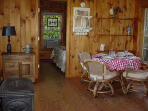 Chestnut Mountain cabin