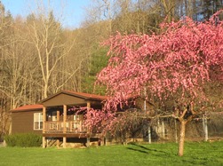 Chestnut Mountain cabin spring