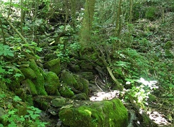 Chestnut Mountain cabin creek