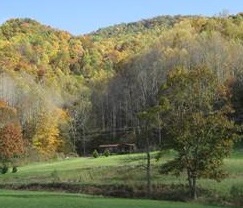 Fall view of Chestnut Mountain cove