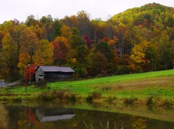 Chestnut Mountain Cabin fall scene