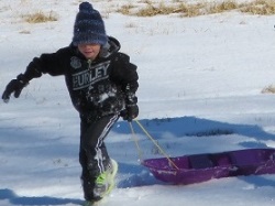 Chestnut Mountain Cabin sledding