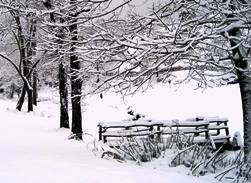 Chestnut Mountain cabin winter