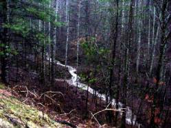 Chestnut Mountain cabin creek